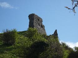 Dryslwyn Castle